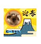 我が家のスター達（個別スタンプ：8）