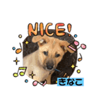 我が家のスター達（個別スタンプ：9）