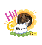 我が家のスター達（個別スタンプ：10）