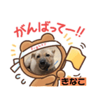 我が家のスター達（個別スタンプ：13）