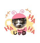 我が家のスター達（個別スタンプ：15）