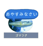 【敬語】フグ目スタンプ！！（個別スタンプ：4）