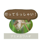 【敬語】フグ目スタンプ！！（個別スタンプ：8）