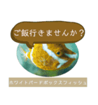 【敬語】フグ目スタンプ！！（個別スタンプ：15）