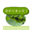 【敬語】フグ目スタンプ！！（個別スタンプ：18）