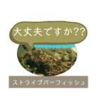 【敬語】フグ目スタンプ！！（個別スタンプ：20）