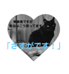 ユニークな言葉付き♪あいさつスタンプ（個別スタンプ：13）