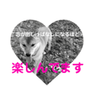ユニークな言葉付き♪あいさつスタンプ（個別スタンプ：20）