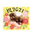 タラクラミックの正月（個別スタンプ：1）