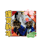 タラクラミックの正月（個別スタンプ：2）