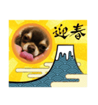 タラクラミックの正月（個別スタンプ：3）