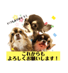 タラクラミックの正月（個別スタンプ：4）