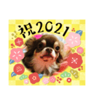 タラクラミックの正月（個別スタンプ：5）