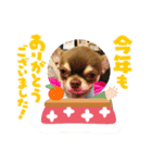 タラクラミックの正月（個別スタンプ：6）