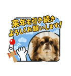 タラクラミックの正月（個別スタンプ：7）