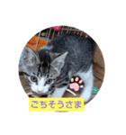くるくるぐるぐる（個別スタンプ：1）