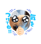 くるくるぐるぐる（個別スタンプ：2）