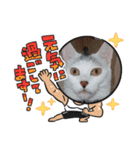 くるくるぐるぐる（個別スタンプ：6）