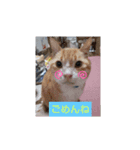 くるくるぐるぐる（個別スタンプ：7）