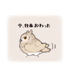 もふっとフクロウ（個別スタンプ：22）