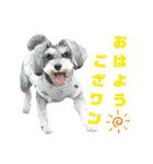 こはるんファミリー（個別スタンプ：1）