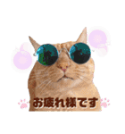 こはるんファミリー（個別スタンプ：6）