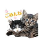 こはるんファミリー（個別スタンプ：13）