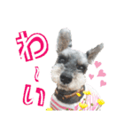 こはるんファミリー（個別スタンプ：18）