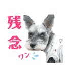 こはるんファミリー（個別スタンプ：31）