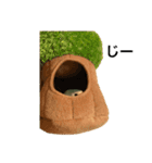 コザクラインコのピー（個別スタンプ：6）