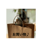 コザクラインコのピー（個別スタンプ：14）