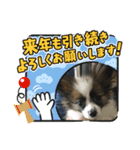 20705モコ（個別スタンプ：5）