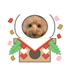 愛犬ちょこびのスタンプ②（個別スタンプ：2）