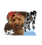 愛犬ちょこびのスタンプ②（個別スタンプ：6）