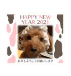 愛犬ちょこびのスタンプ②（個別スタンプ：8）