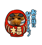 愛犬ちょこびのスタンプ②（個別スタンプ：12）