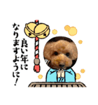 愛犬ちょこびのスタンプ②（個別スタンプ：14）