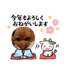 愛犬ちょこびのスタンプ②（個別スタンプ：16）