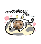 愛犬ちょこびのスタンプ②（個別スタンプ：17）