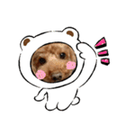 愛犬ちょこびのスタンプ②（個別スタンプ：23）