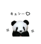 きっとまた会おうね（個別スタンプ：8）