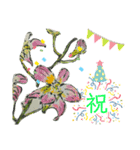 絵ハガキスタンプ 第2弾（個別スタンプ：13）