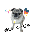 津軽弁犬2（個別スタンプ：1）