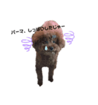津軽弁犬2（個別スタンプ：6）