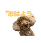 ワプの日常（個別スタンプ：4）