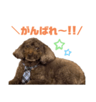 ワプの日常（個別スタンプ：7）