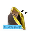 悟空と銀のお話☆（個別スタンプ：1）