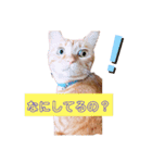 悟空と銀のお話☆（個別スタンプ：7）