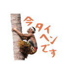 Polynesian Cultural Centerスタンプ第3弾（個別スタンプ：3）