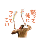 Polynesian Cultural Centerスタンプ第3弾（個別スタンプ：4）